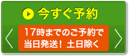 今すぐ予約